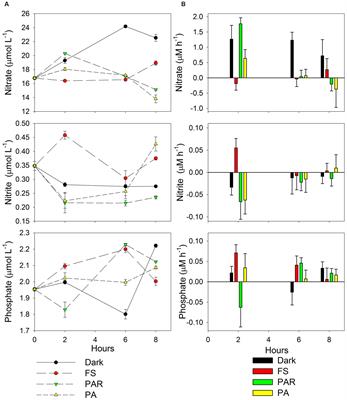 Bacterial Active Community Cycling in Response to Solar Radiation and Their Influence on Nutrient Changes in a High-Altitude Wetland